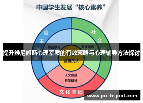 提升维尼修斯心理素质的有效策略与心理辅导方法探讨
