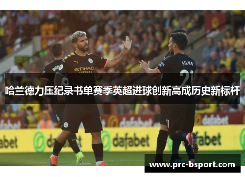 哈兰德力压纪录书单赛季英超进球创新高成历史新标杆