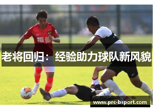 老将回归：经验助力球队新风貌